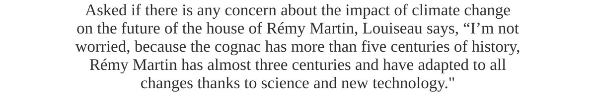 remy quote
